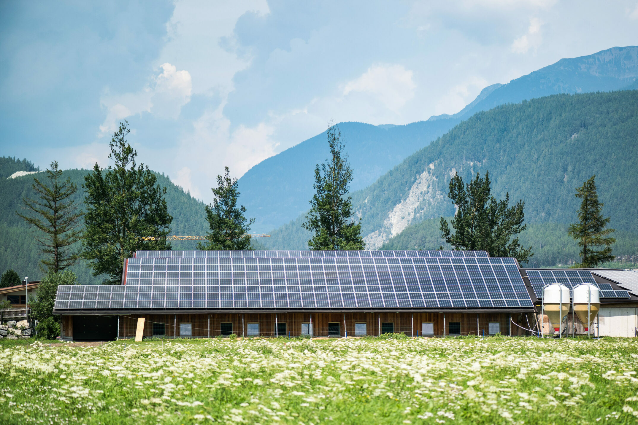Toitures Toitures - Sol'R Green - Entreprise