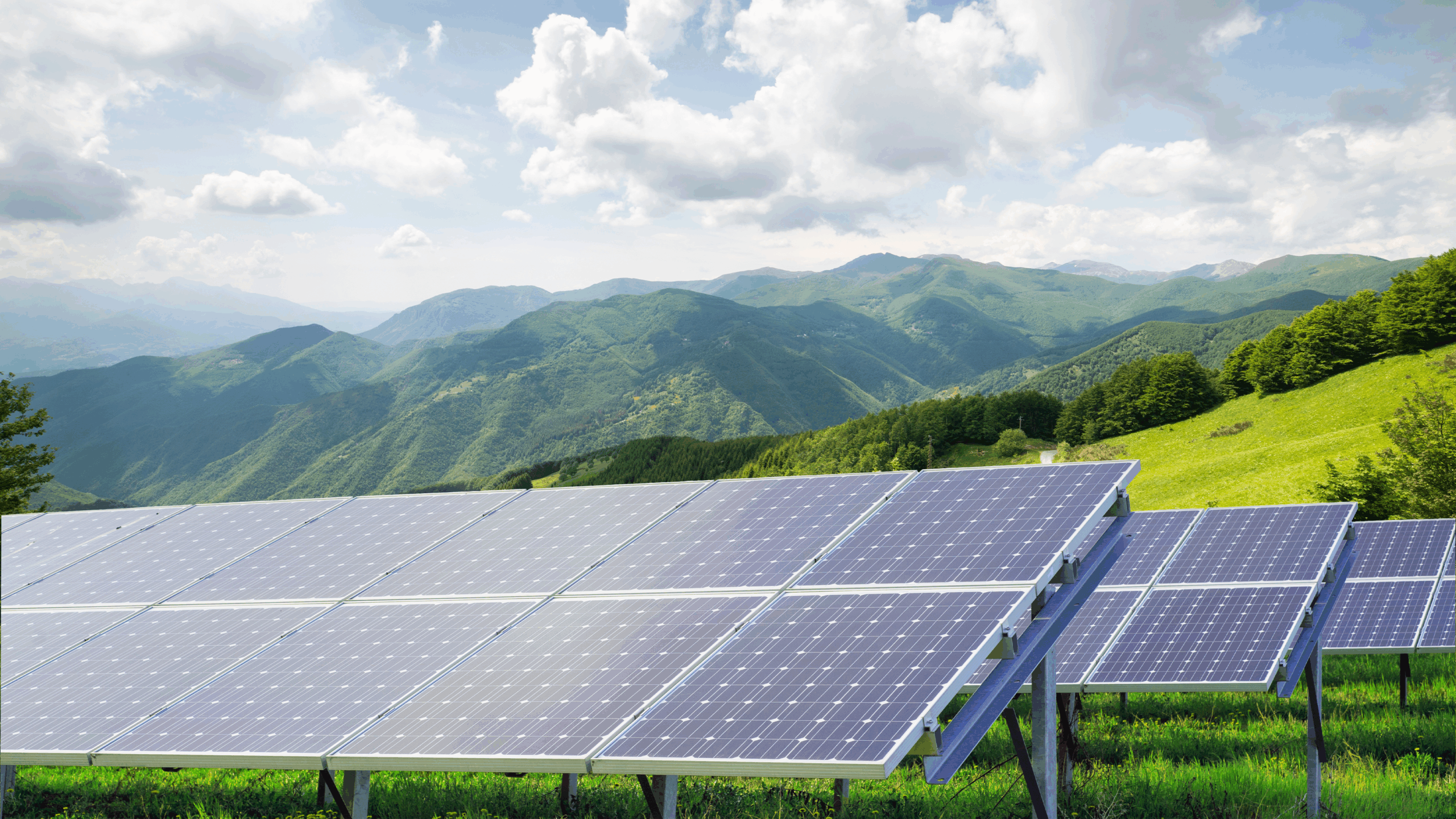 Champs solaires Champs solaires- Sol'R Green - Accueil