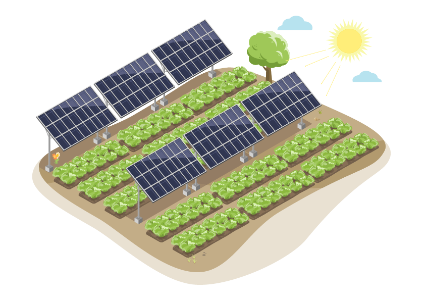 Agriculture Agriculture - Sol'R Green